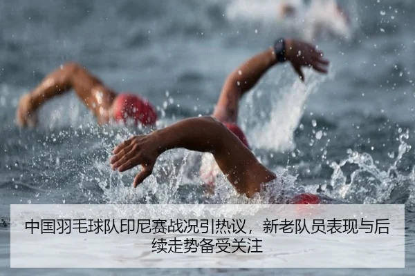 中国羽毛球队印尼赛战况引热议，新老队员表现与后续走势备受关注